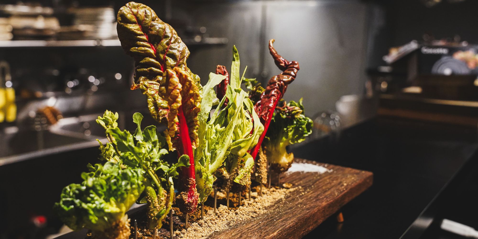 【公式】在来食堂