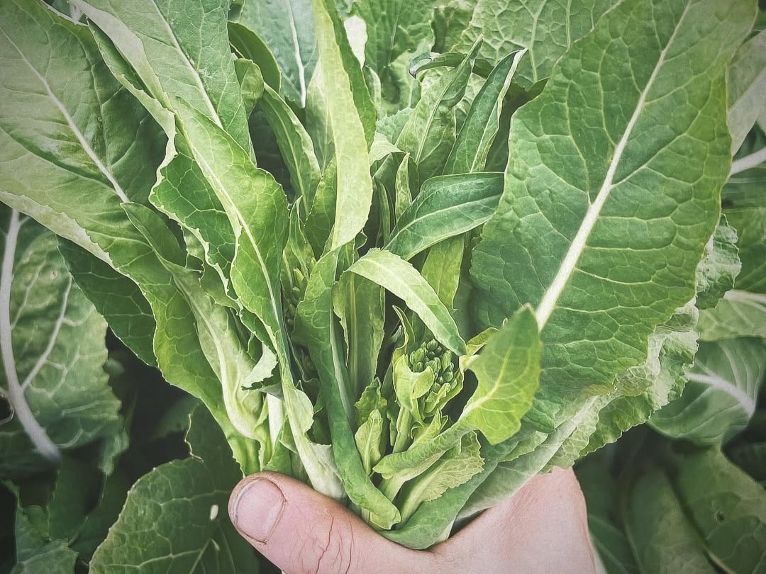 四季折々の野菜の味をお楽しみください。